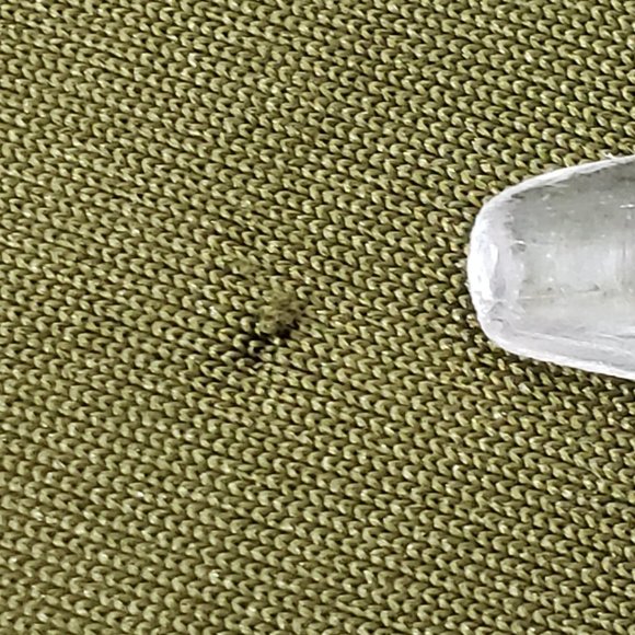 Stripper Extraordinaire 2pc Olive Green Outfit Halter Tube Top - Picture 11 of 11